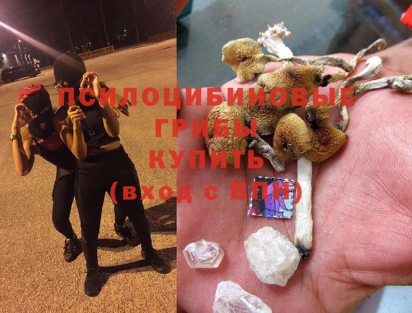 мдма Заводоуковск